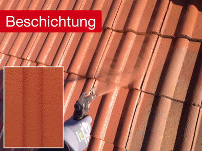 Dachbeschichtung im Detail