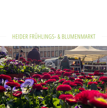 Heider Frühlings- & Blumenmarkt